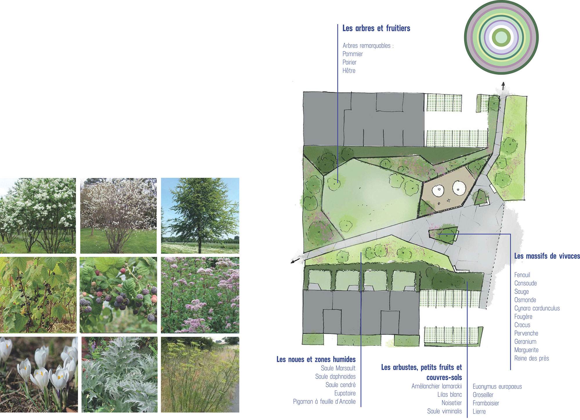Plan masse paysager du projet de logements et maisons individuelles à Liévin