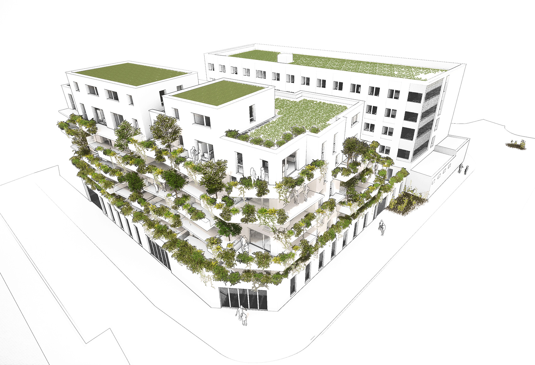 Axonométrie de la réhabilitation du Nord Hotel à Lille rue de l'Ancolie avec végétalisation des façades
