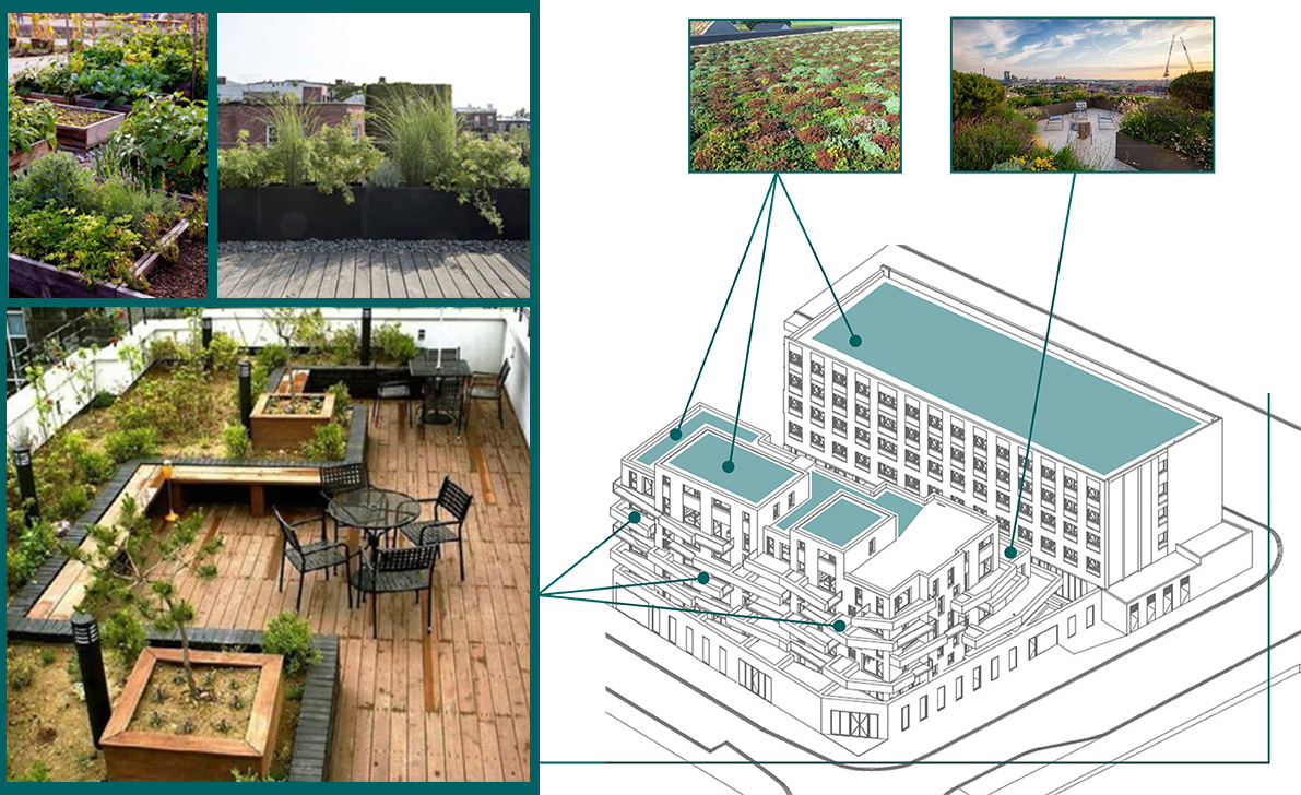 Projet de végétalisation du Nord Hotel à Lille avec nature, biodiversité et agriculture urbaine